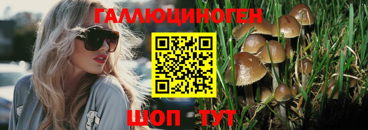 Галлюциногенные грибы мицелий Городец