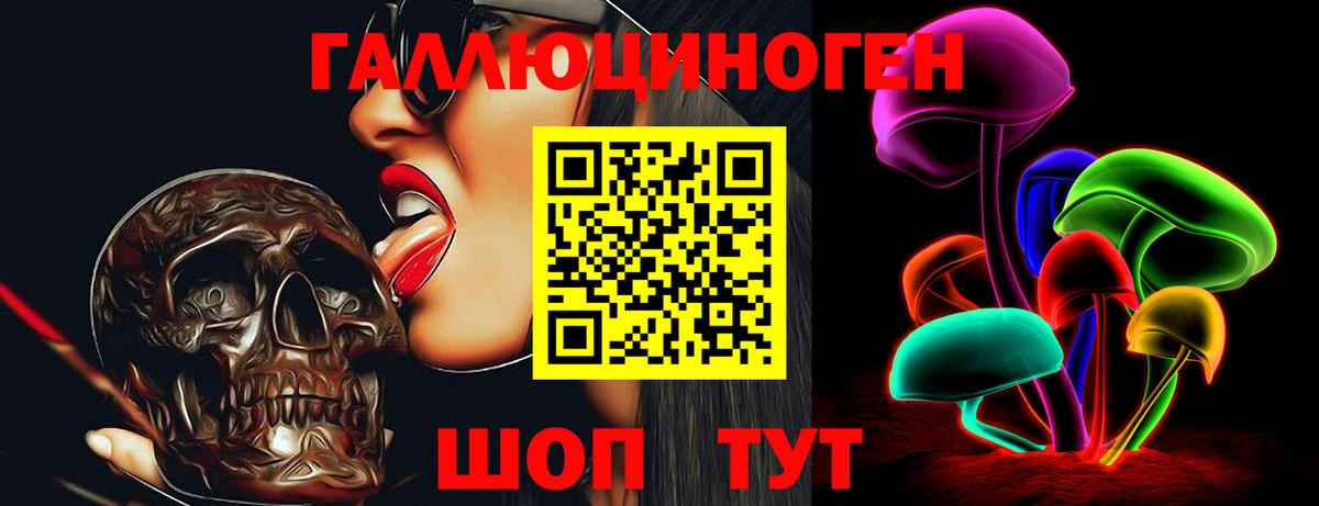 Городец  купить наркотик  Вход с VPN  Псилоцибиновые грибы ЛСД  Псилоцибиновые грибы мицелий 
