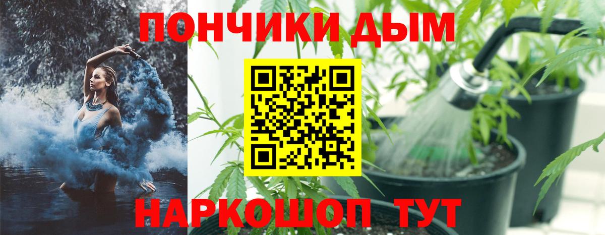 Шишки марихуана тримм  Каннабис тримм  Вход с VPN  Канабис марихуана  Городец 